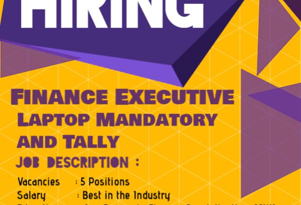 We are looking for a reliable Finance Executive